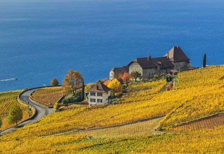 AUTUNNO SUL LAGO DI GINEVRA